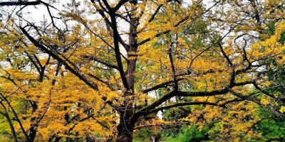 ​六盘水10大必去景点，每一个都是精华，错过任何一个都太可惜！