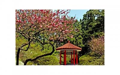 ​拥有交际手段十足的人——如何与处女座相处？