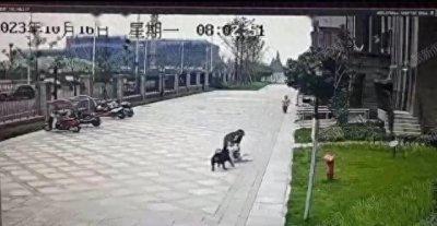 ​被咬女童家属申请将涉事狗安乐死，因受到巨大伤害而非常痛恨