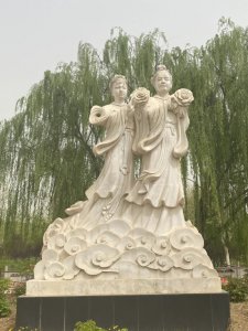 ​去不了洛阳看牡丹，就来柏乡吧