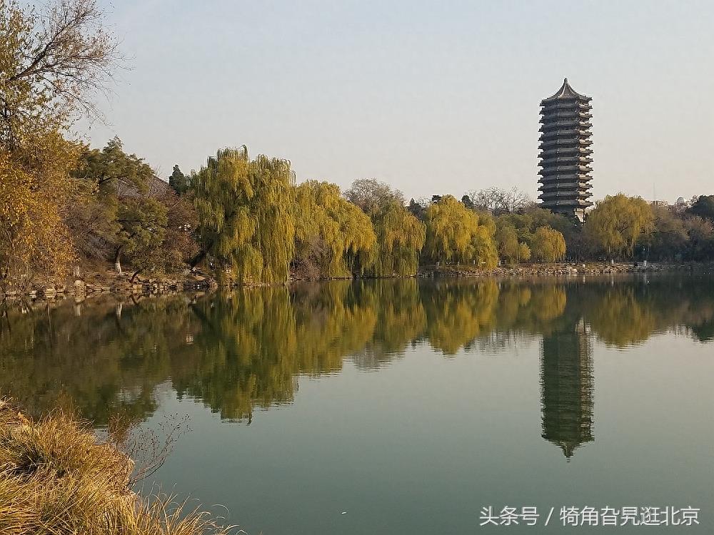 西洋楼景区三只石鱼的坎坷遭遇，两只已回圆明园，一只流落在北大