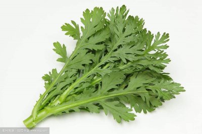 ​中药材茼蒿