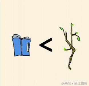 ​看图猜成语：一本书，中间小于号，一棵树；猜对了你就是天才