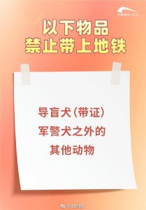 ​乘坐地铁哪些物品不可带？看这一篇就够了！
