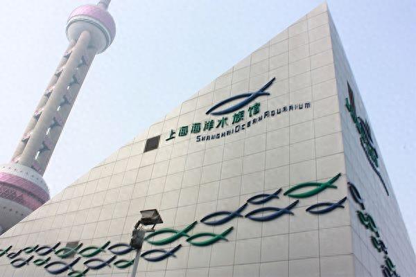 带你零距离接触海底——上海海洋水族馆