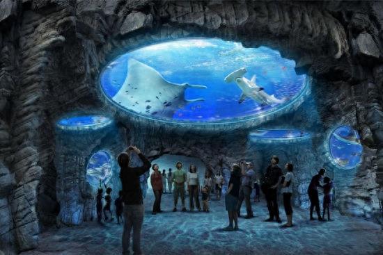 带你零距离接触海底——上海海洋水族馆