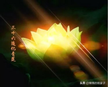 ​洪荒中的先天至宝：三十六品造化青莲