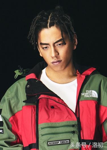 当红男星小脏辫造型，你最爱哪一款，鹿晗头上像蜘蛛，马天宇最帅