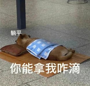 ​表情包：我要和你原地结婚