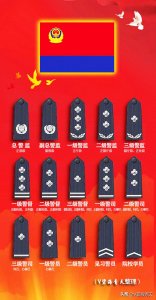 ​一图了解人民警察警衔肩章标志