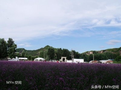 ​北京京郊游好去处：薰衣草庄园