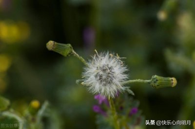 ​发生在七十年代的真实的故事