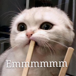 ​猫拉稀但精神很好怎么办？