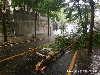 ​春天打雷究竟有什么征兆？明白了“天意”你敢胡言乱行吗？（二）
