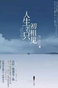 ​值得收藏的经典言情文《人生若只如初相见》