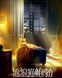 ​最网红的橘猫走了《流浪猫鲍勃》原型猫去世