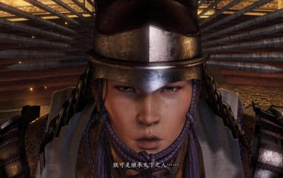 ​关白丰臣秀吉的儿子丰臣秀赖为什么没有当上日本的关白？