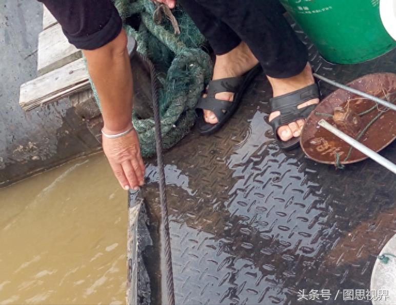和尚放生泥鳅时行为怪异，为何市民纷纷谴责？