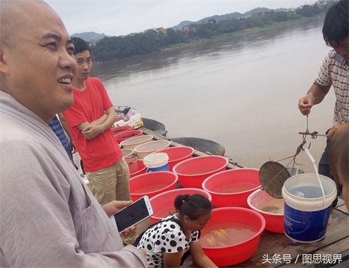 和尚放生泥鳅时行为怪异，为何市民纷纷谴责？