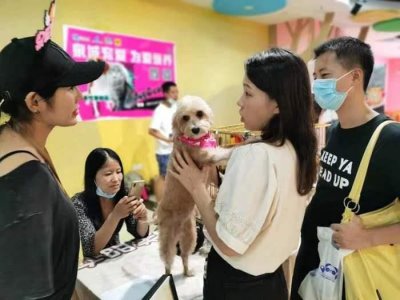 ​逛商场还能领养狗？济南首个领养商铺来了