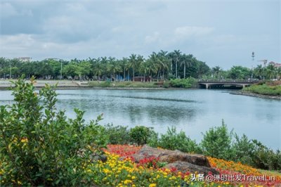 ​海口最大的热带海滨生态园：万绿园