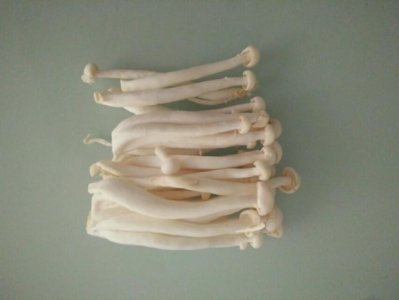 ​这样做出的白玉菇汤，鲜香美味营养高，真好喝