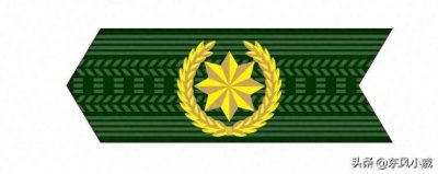 ​警衔发展史：92式警衔领章（上）