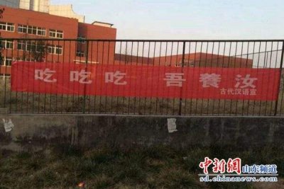 ​女生节的由来起源 三七女生节意义目的重要性介绍