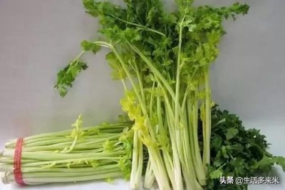 ​平度特产——马家沟芹菜