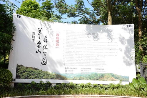 被称为深圳西北部第一高峰，海拔587米，也是深圳第八高山