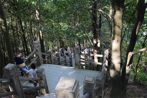 被称为深圳西北部第一高峰，海拔587米，也是深圳第八高山