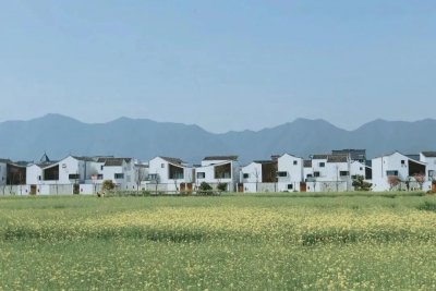 ​来东梓关村感受岁月静好