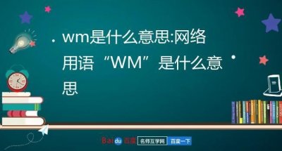 ​网络用语wb是什么意思（网络用语wb的意思）