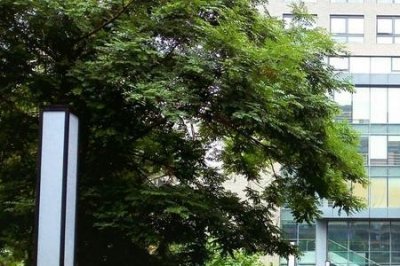 ​中国现在多少所大中院校
