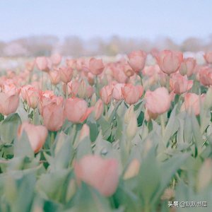 ​短篇完结小甜文 重点：短！甜！完结