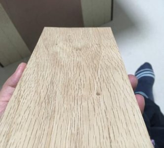​青冈木，青冈木是什么？