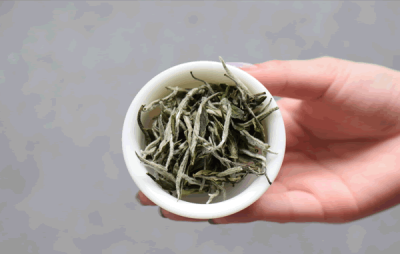 ​白茶属于什么茶类（白牡丹白茶属于什么茶类）