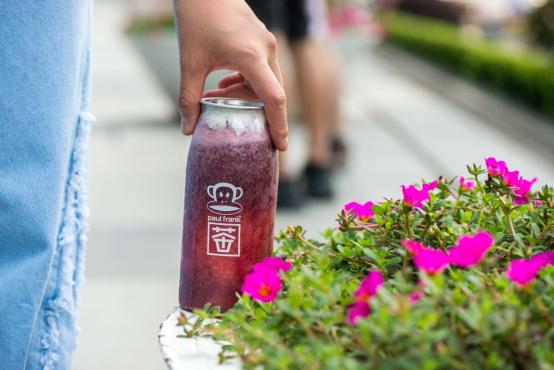 paulfrank是什么牌子（Frank重磅登陆茶饮界）(13)