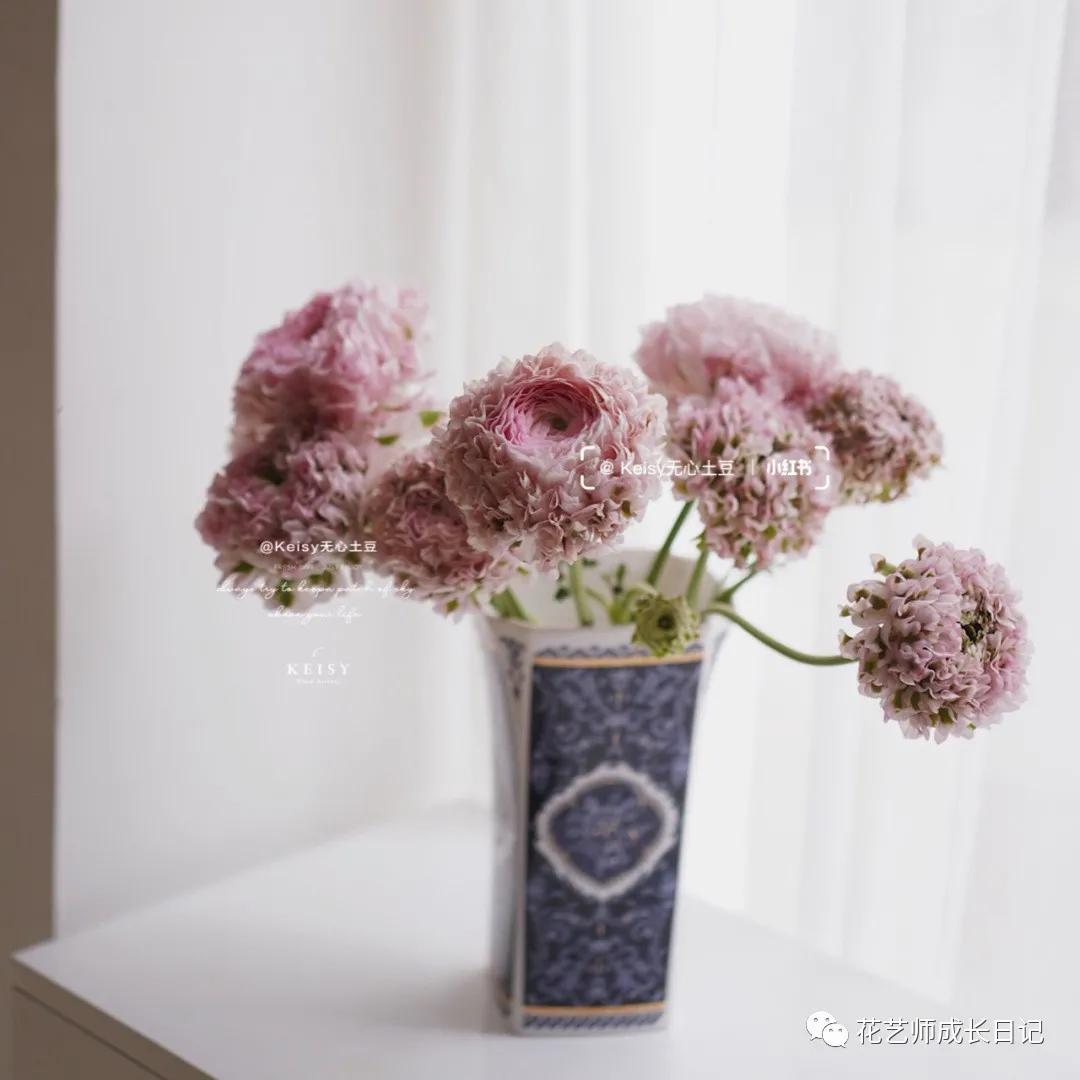 洋牡丹花期有多长时间（不同颜色洋牡丹图片分享）