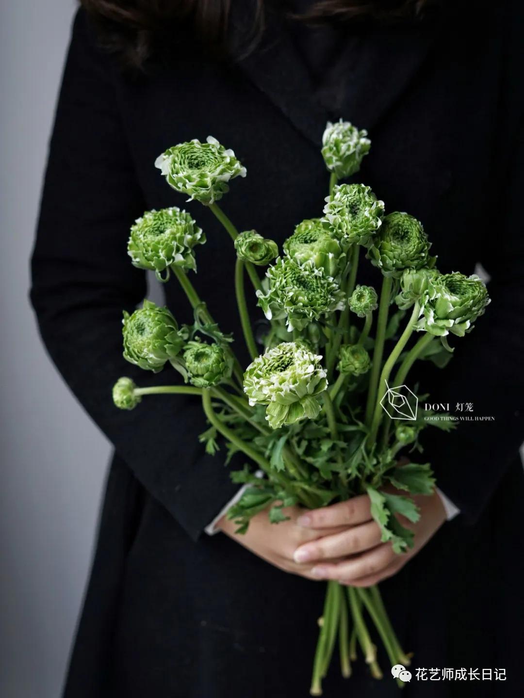 洋牡丹花期有多长时间（不同颜色洋牡丹图片分享）
