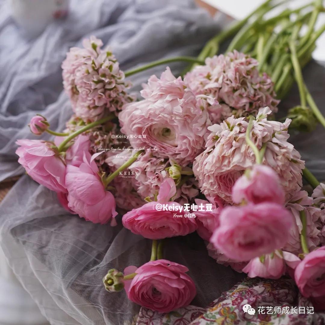 洋牡丹花期有多长时间（不同颜色洋牡丹图片分享）