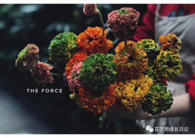 ​洋牡丹花期有多长时间（不同颜色洋牡丹图片分享）