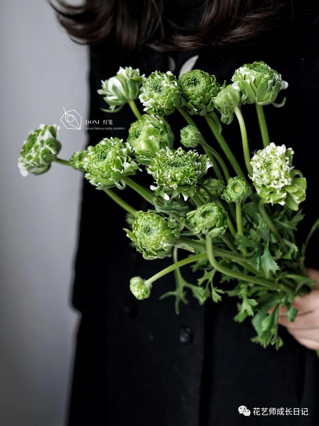 洋牡丹花期有多长时间（不同颜色洋牡丹图片分享）