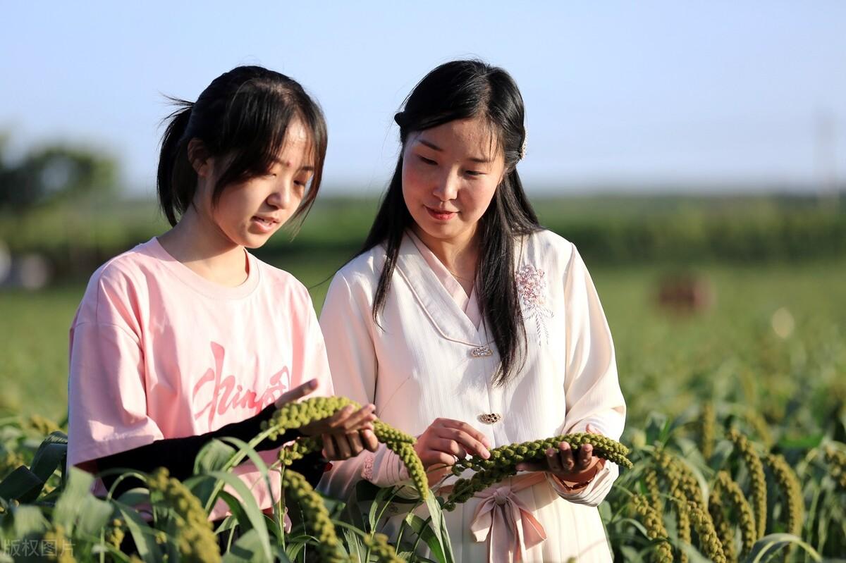 来洛阳必带的特产(洛阳可带走的小吃特产)