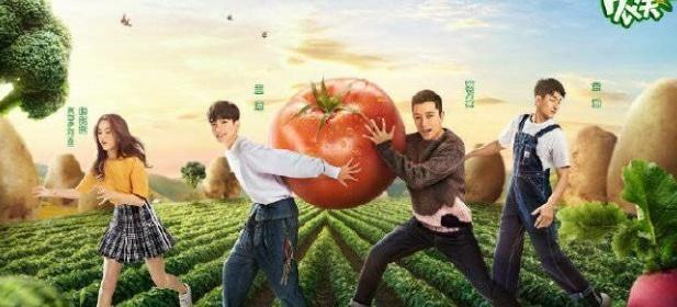 给她拍照导致粉丝互撕，杨超越粉丝态度极其坚定