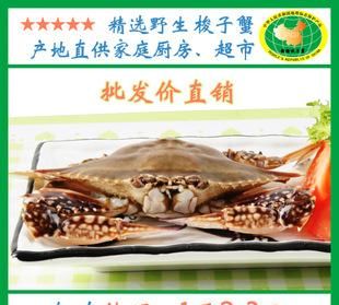 梭子蟹可以冷藏几天