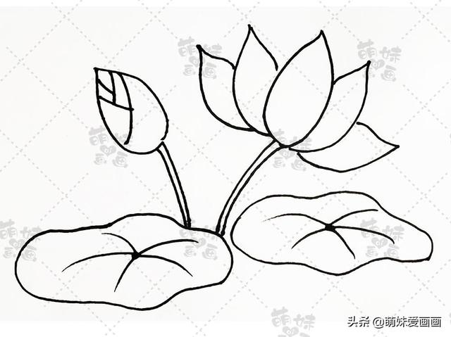 又简单又漂亮的简笔画手抄报（夏天主题素材简笔画大全）(1)