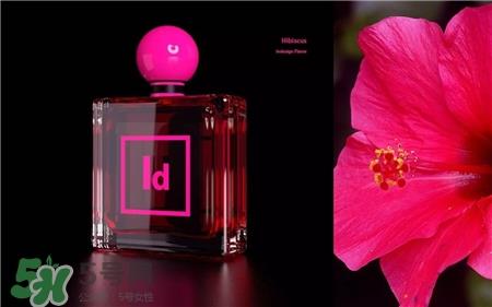 Adobe香水多少钱?Adobe香水在哪里买?