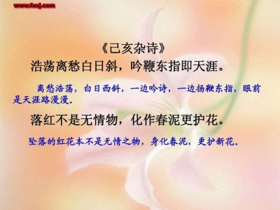​己亥杂诗古诗的意思（原文是什么）