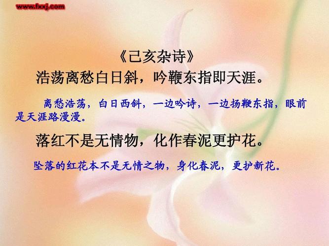 己亥杂诗古诗的意思（原文是什么）